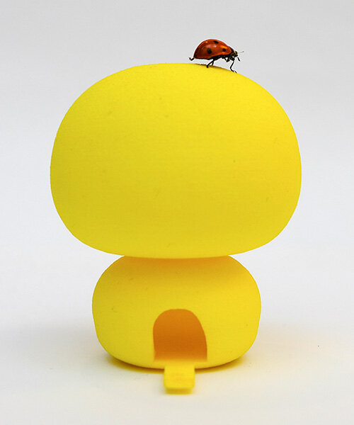 Master of Arts in Design X Other Species by IED